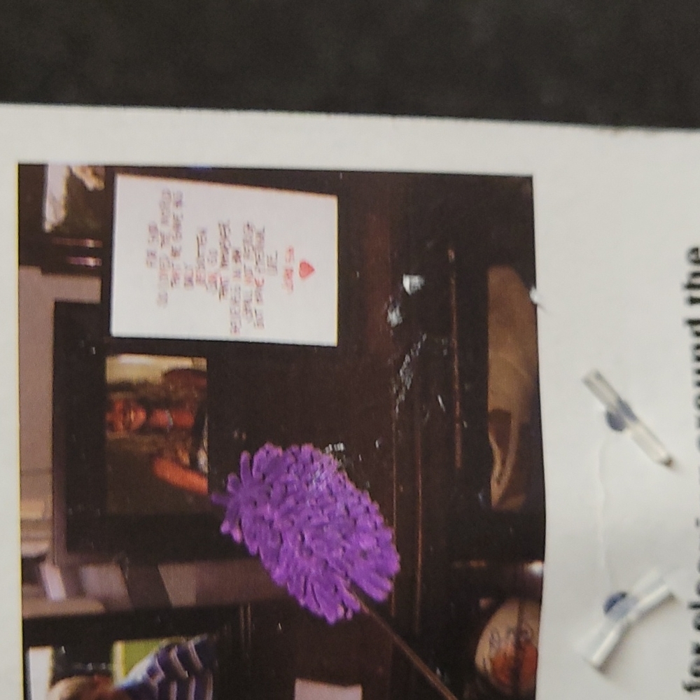 Telescopic Duster - Picture 3 of 6